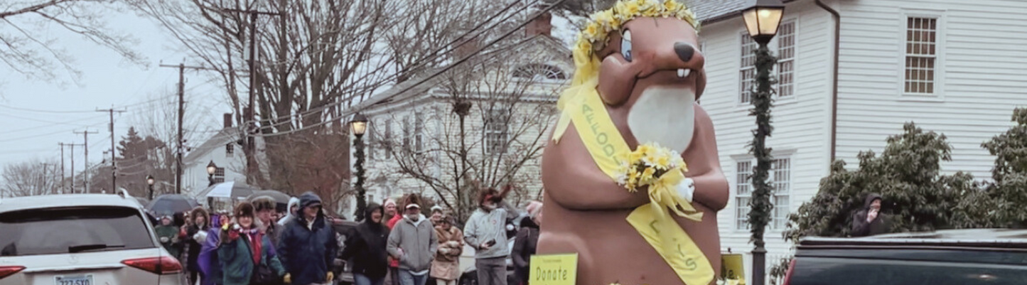 Essex Ed parades down Main Street in Essex, CT, led by joyful parade-goers with noisemakers, celebrating the annual Groundhog Day tradition.