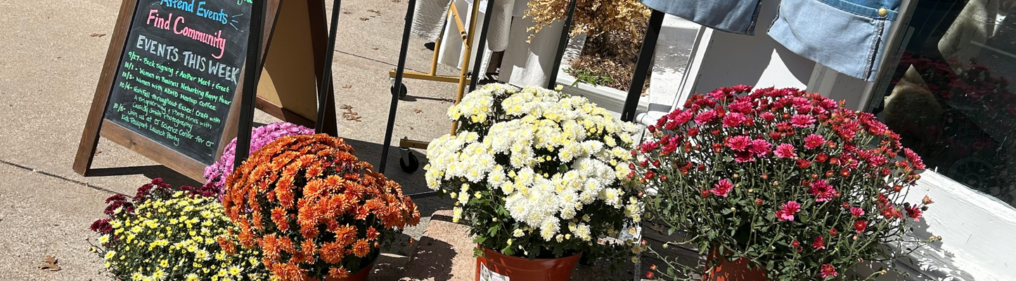 Fall mums and event listing outside Grace & Haven boutique in Essex CT during weekend festivities