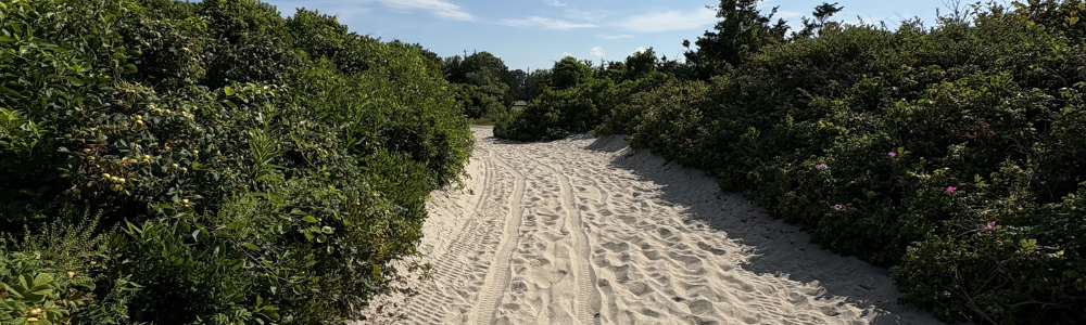 Beach Cleanup at Hammonasset State Park + After Party in Essex | Giving with Grace x Cinder + Salt