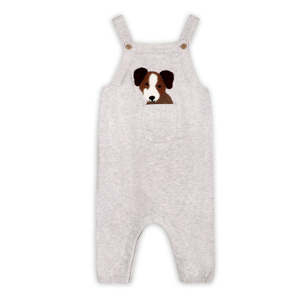 
                      
                        Organic Cotton Puppy Dog 3D Pocket Baby Overall & Bodysuit Set – Sweater Knit by Viverano
                      
                    