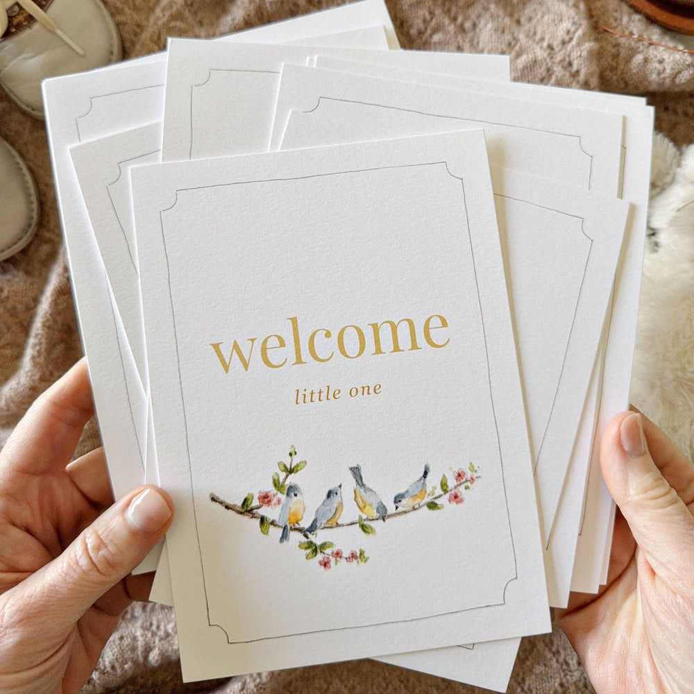 Baby Milestone Cards – Monthly Photo Props + Keepsake Memory Set by Emily Lex