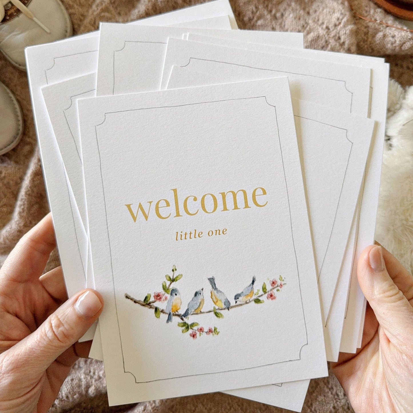 Baby Milestone Cards – Monthly Photo Props + Keepsake Memory Set by Emily Lex