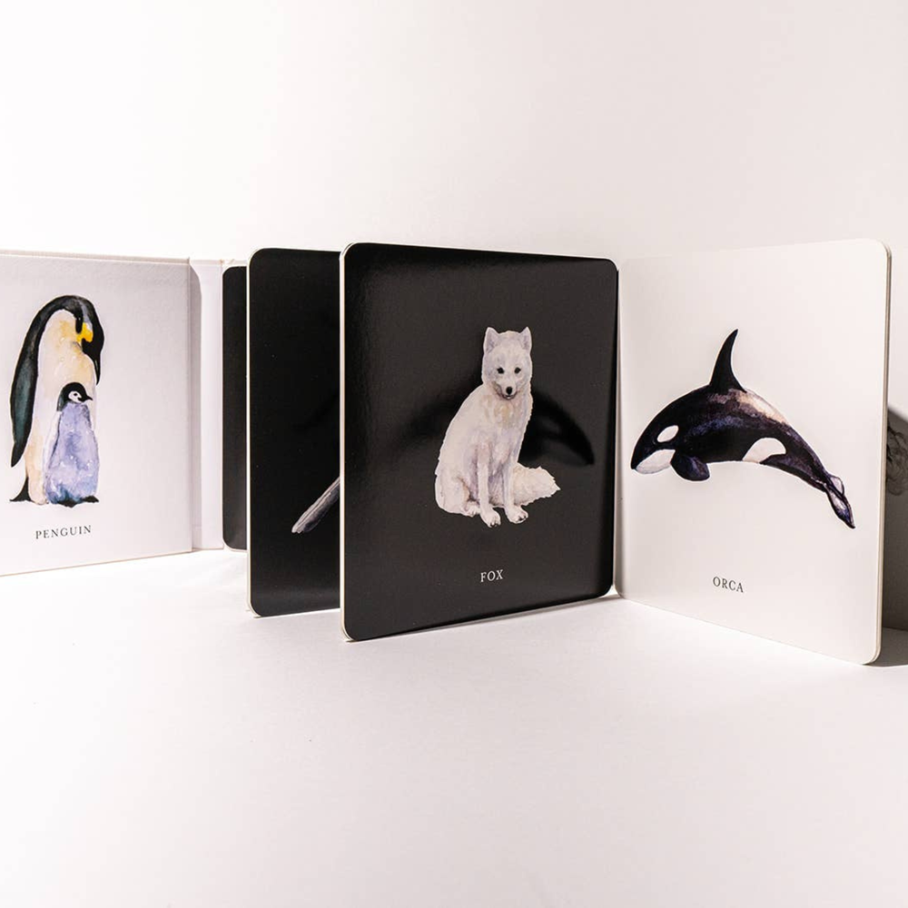 Baby's Black and White Contrast Book - Grace & Haven