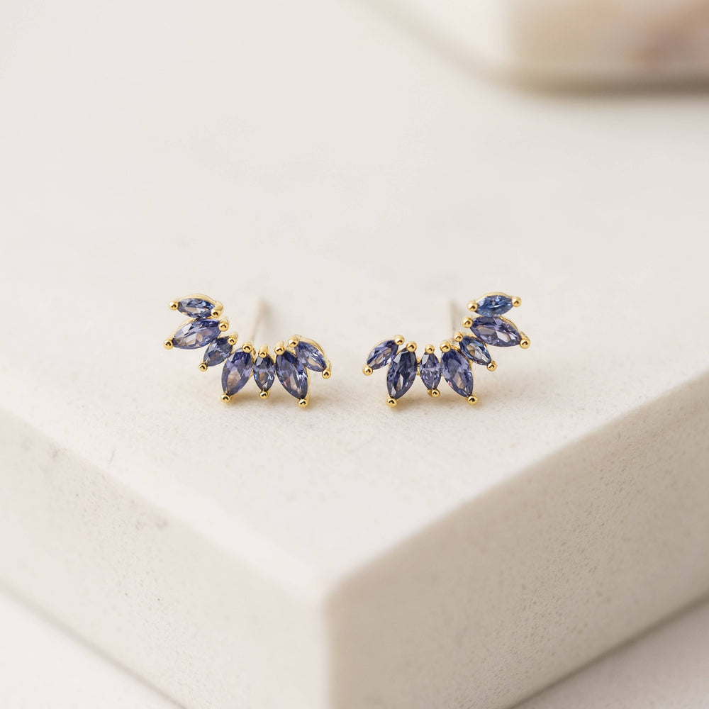 Crown Climber Earrings