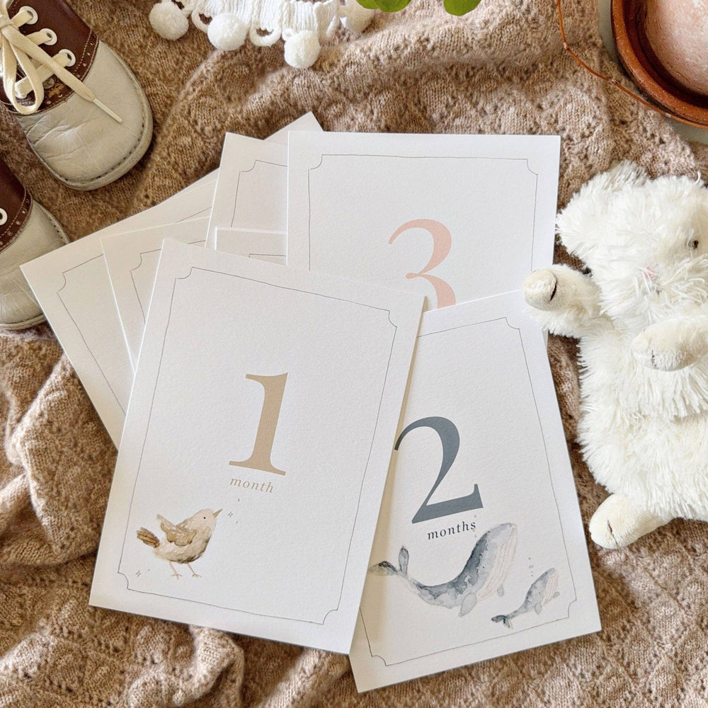 Baby Milestone Cards – Monthly Photo Props + Keepsake Memory Set by Emily Lex