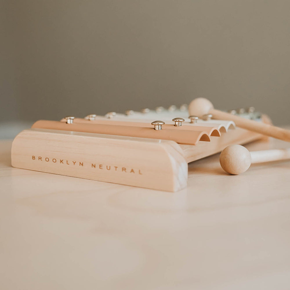 
                      
                        Xylophone
                      
                    