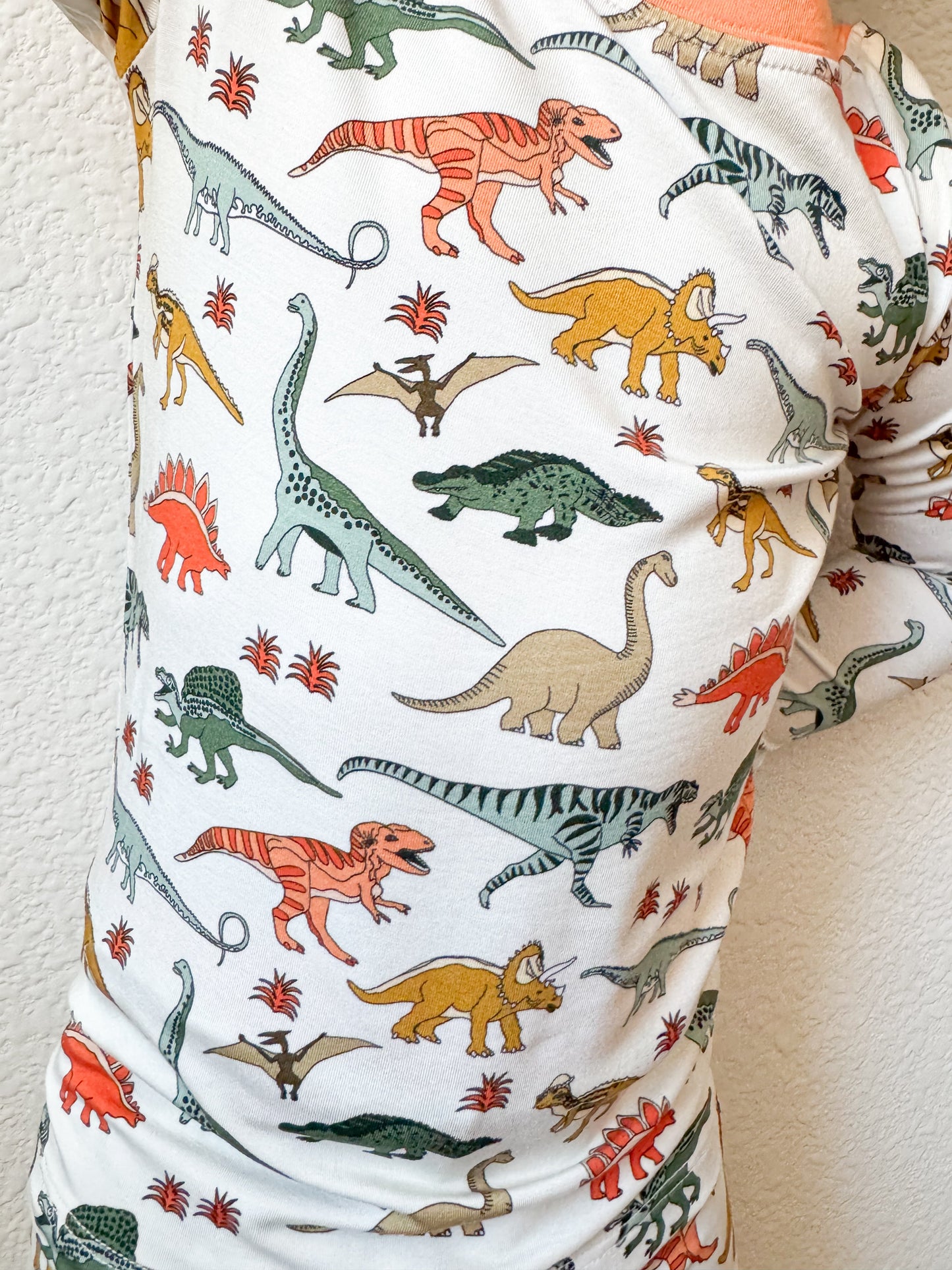 Boho Dinosaur | Two Piece PJ Set