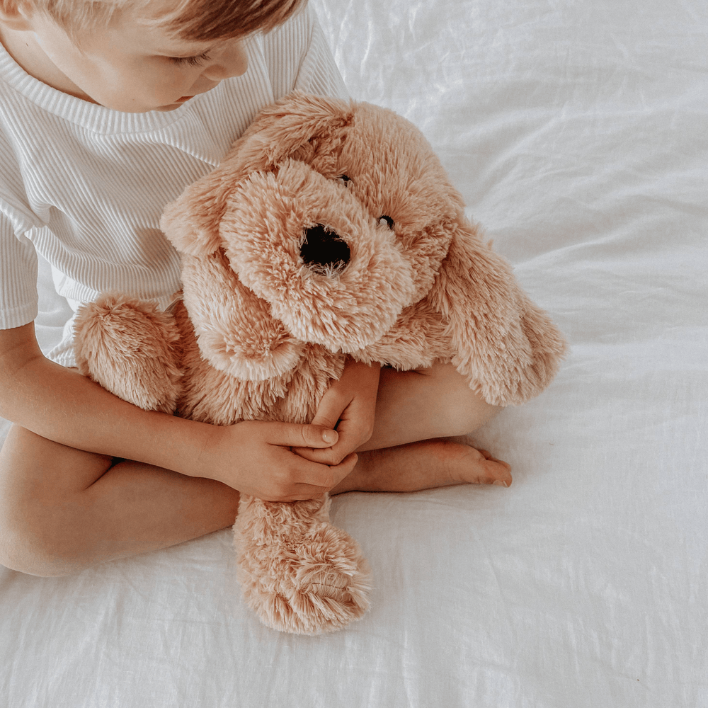 
                      
                        A boy happily holding Charlie The Weighted Puppy Dog, a comforting and cuddly companion for children. Made with soft, tactile fabric and weighted for sensory stimulation, this adorable puppy dog is perfect for providing comfort and support during naps, playtime, or travel. A thoughtful gift for any child, Charlie encourages relaxation and helps with emotional well-being.
                      
                    