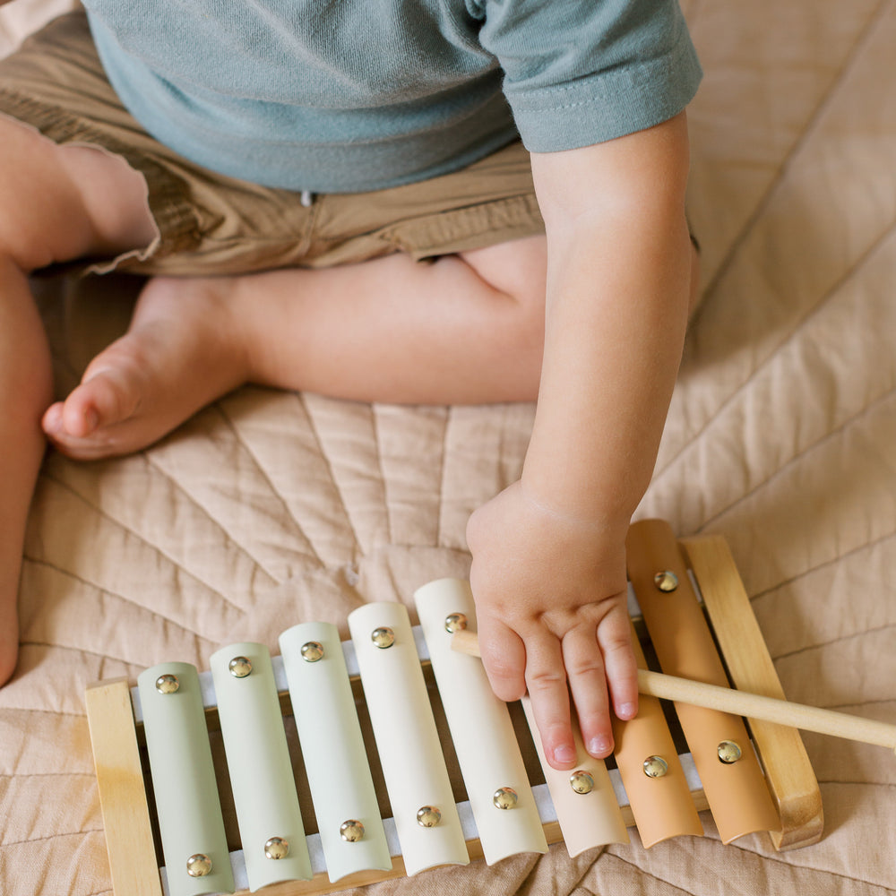 
                      
                        Xylophone
                      
                    