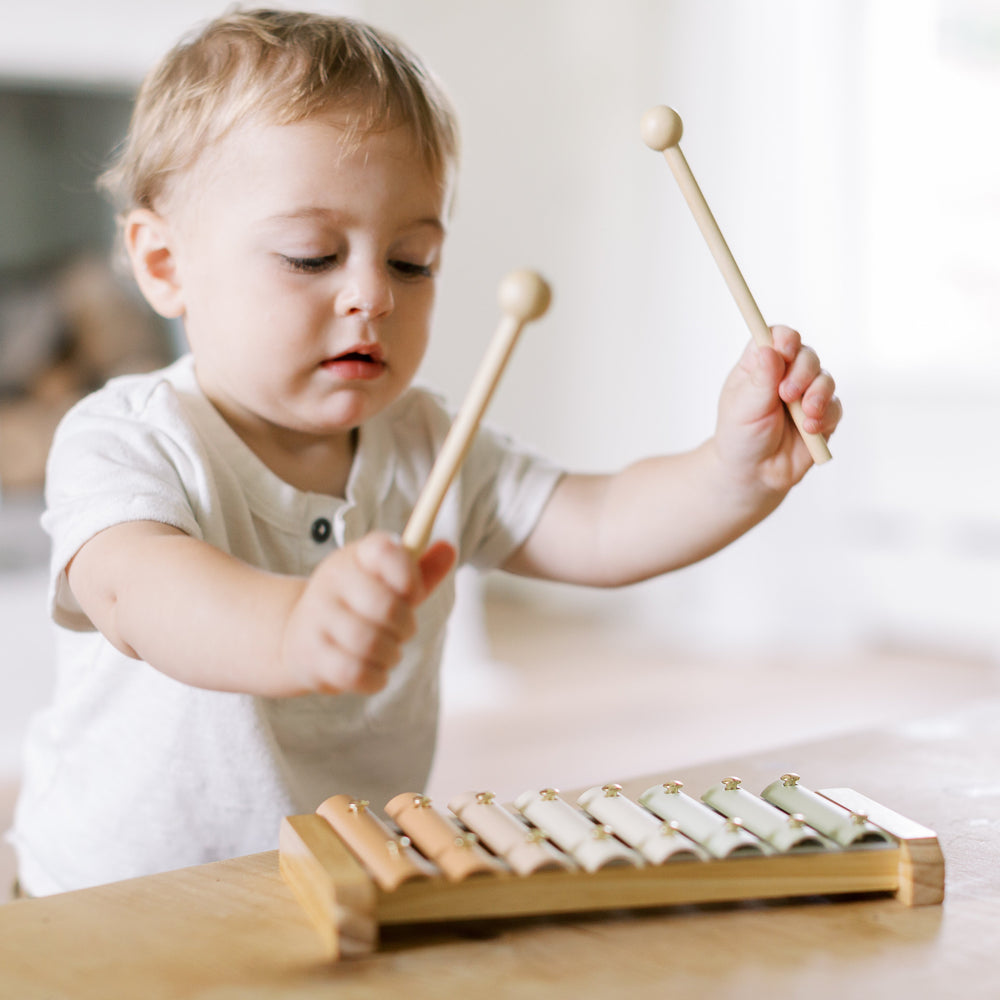 
                      
                        Xylophone
                      
                    