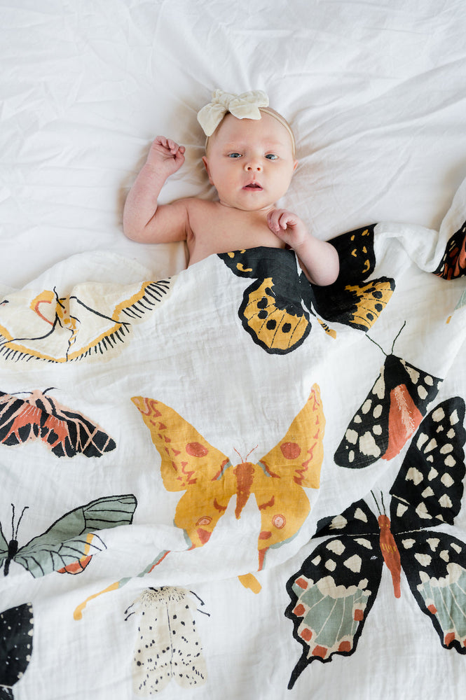 
                      
                        Butterfly Collector Swaddle
                      
                    