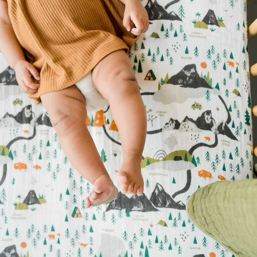 
                      
                        National Parks Crib Sheet
                      
                    