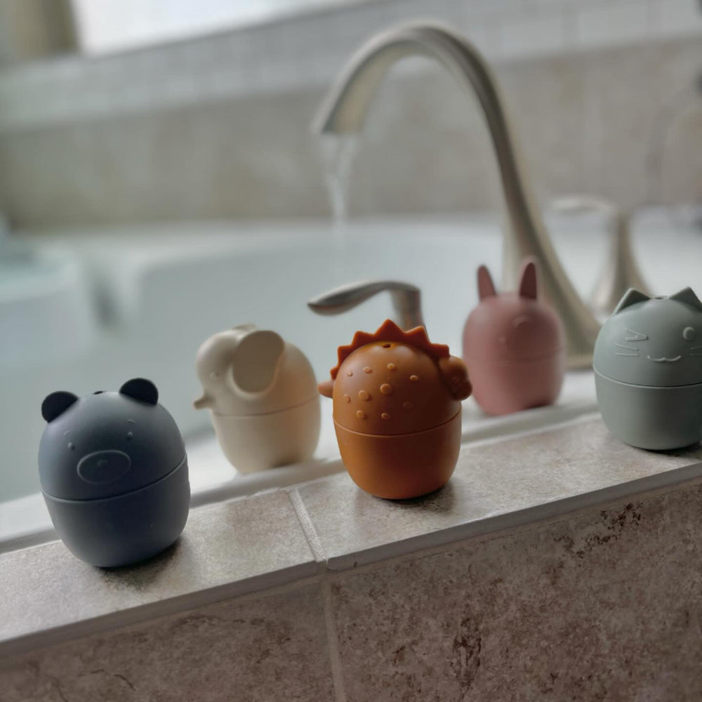 
                      
                        Animal Bath Toy Set
                      
                    