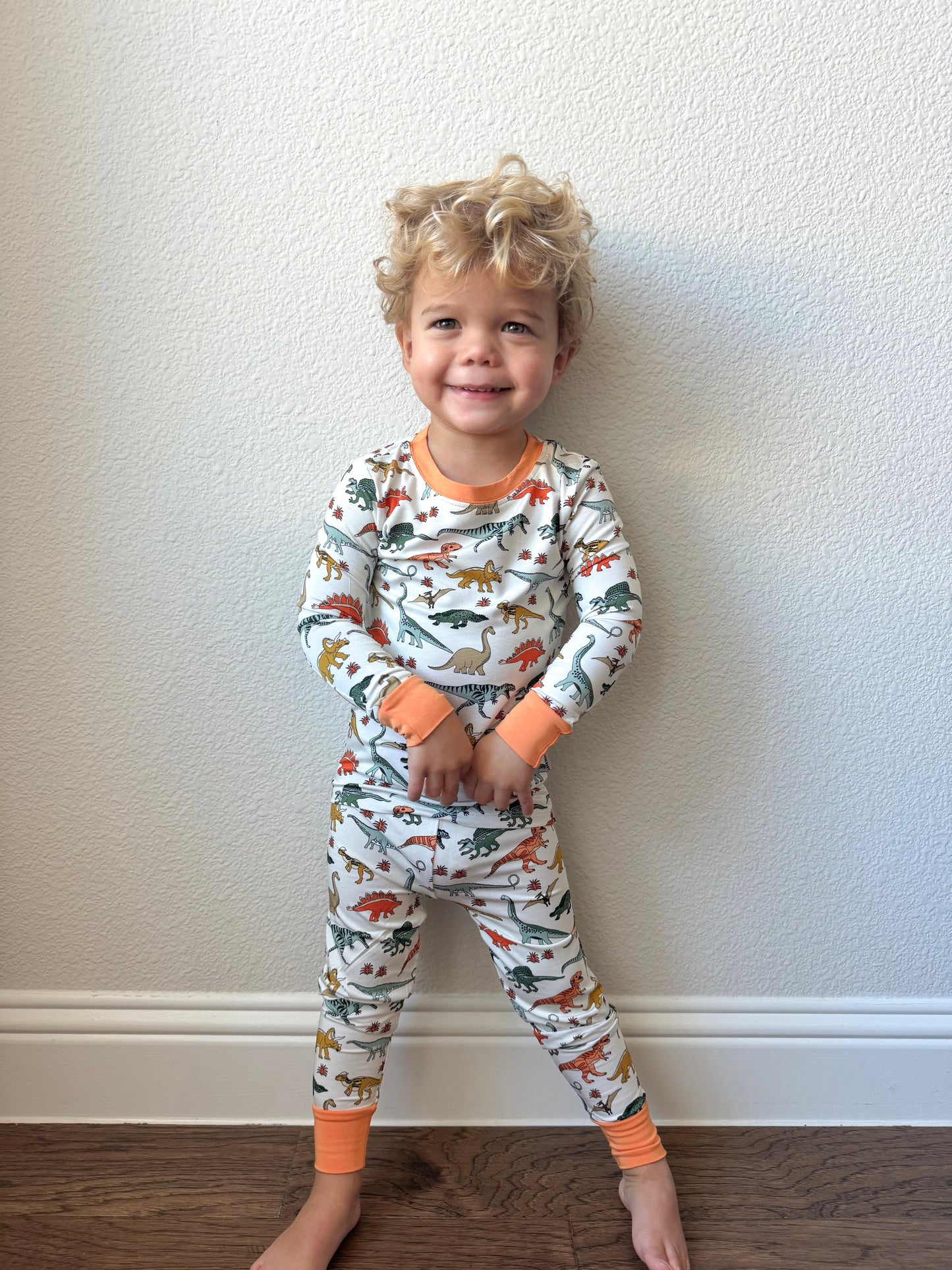 Boho Dinosaur | Two Piece PJ Set