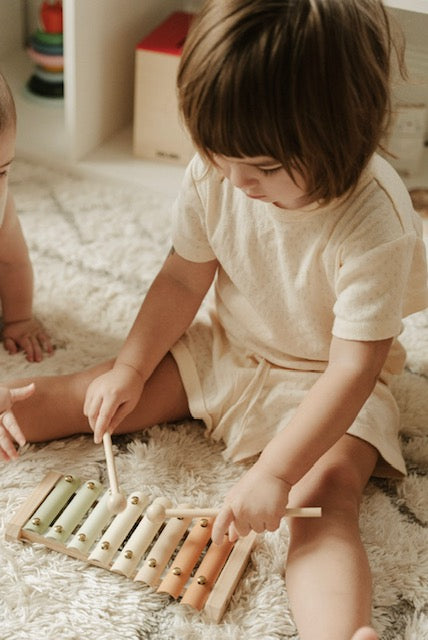 
                      
                        Xylophone
                      
                    