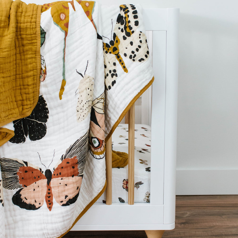 
                      
                        Butterfly Collector Quilt
                      
                    