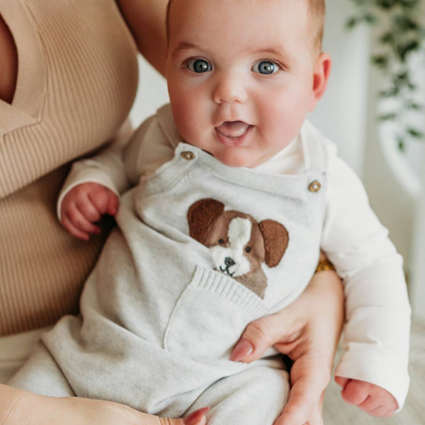 Discover the Latest for the Kiddos