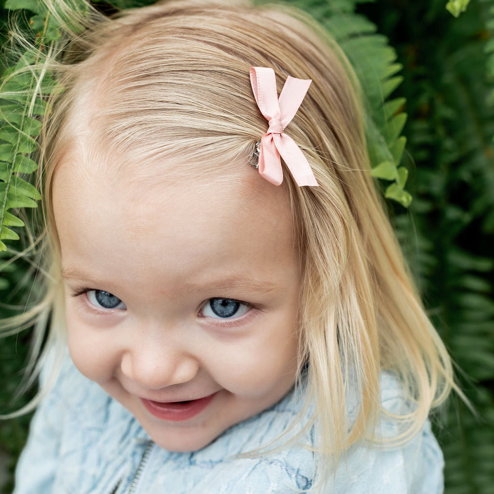 
                      
                        Dusty Rose | Mini Ribbon Bow Set
                      
                    