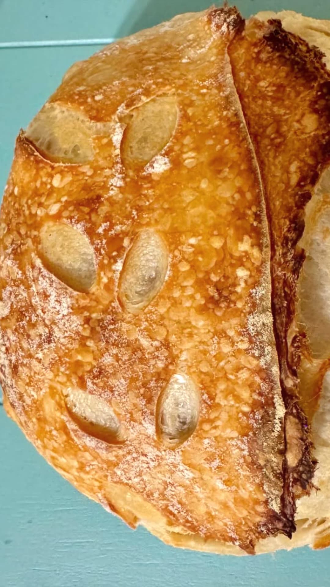 Sourdough Loaf ready for Sourdough Workshop & Tasting at Grace & Haven with Flour & Feather Sourdough in Essex, CT March 10, 2026. 