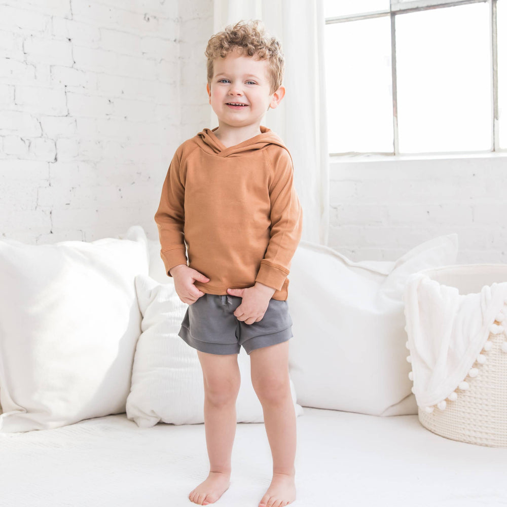 
                      
                        Madison Organic Baby & Toddler Hooded Pullover by Colored Organics in Mist
                      
                    