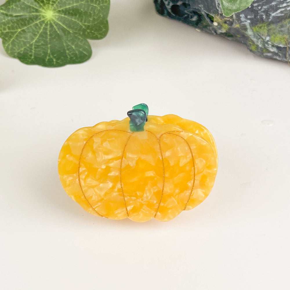 
                      
                        Pumpkin Hair Clip, Vegetable Claw Clip
                      
                    