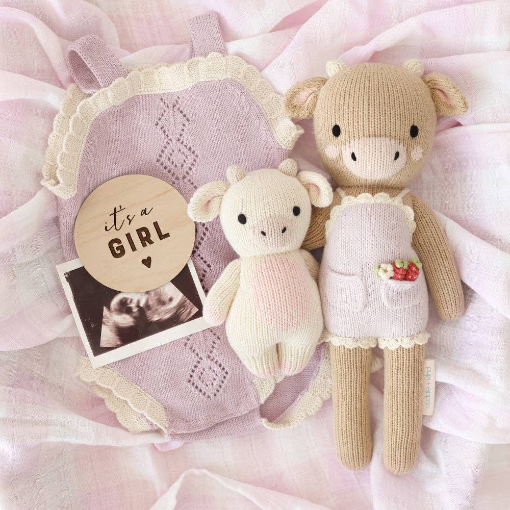 
                      
                        “It’s a Girl” birth announcement styled with Ava the Cow and Baby Cow plush dolls in lavender next to a newborn for a charming gender reveal
                      
                    