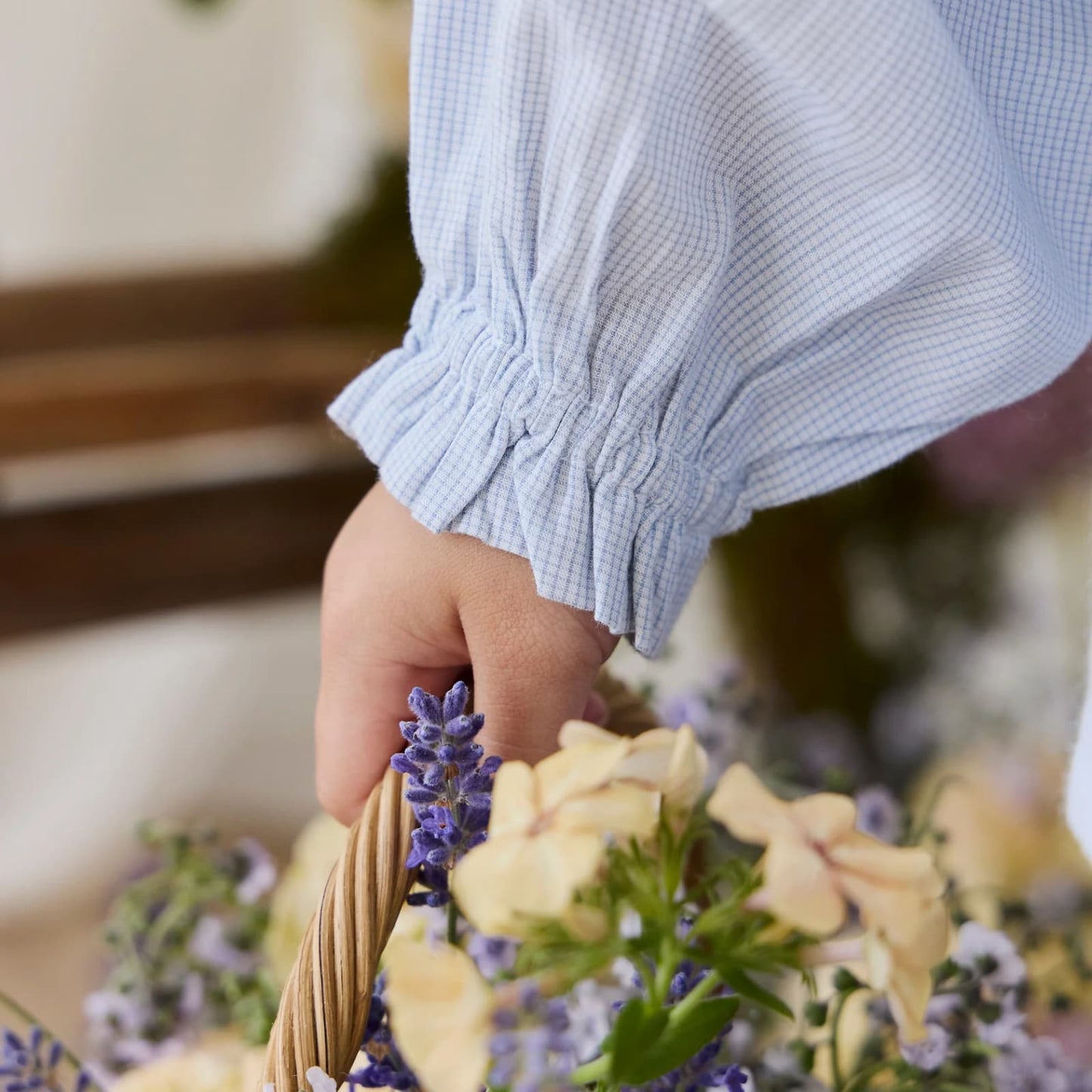 Baby & Kids Collection