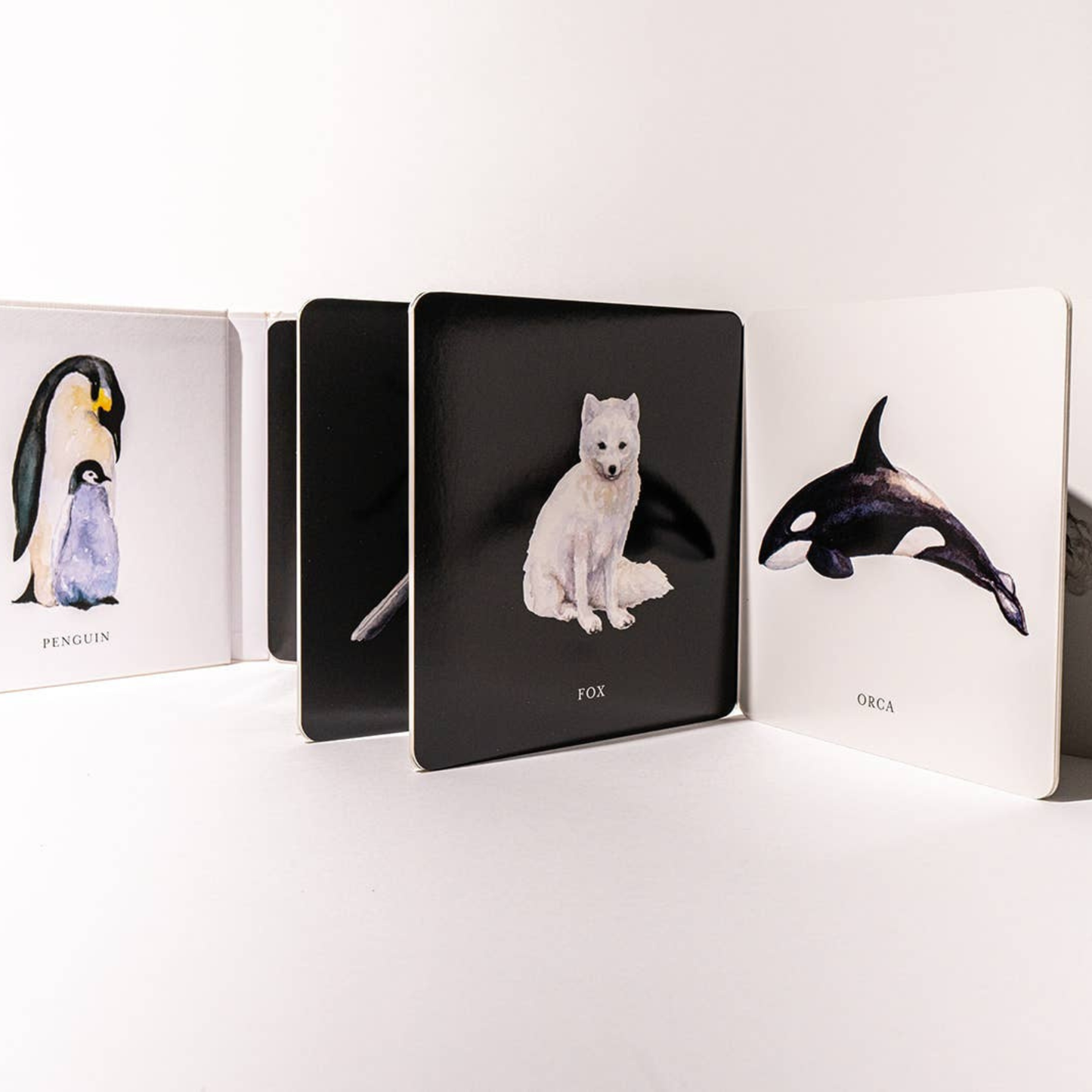 Close-up of a black-and-white illustration page from Baby’s Black and White Contrast Board Book