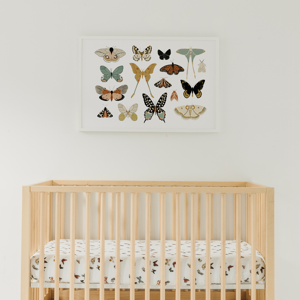 
                      
                        Butterfly Migration Crib Sheet
                      
                    
