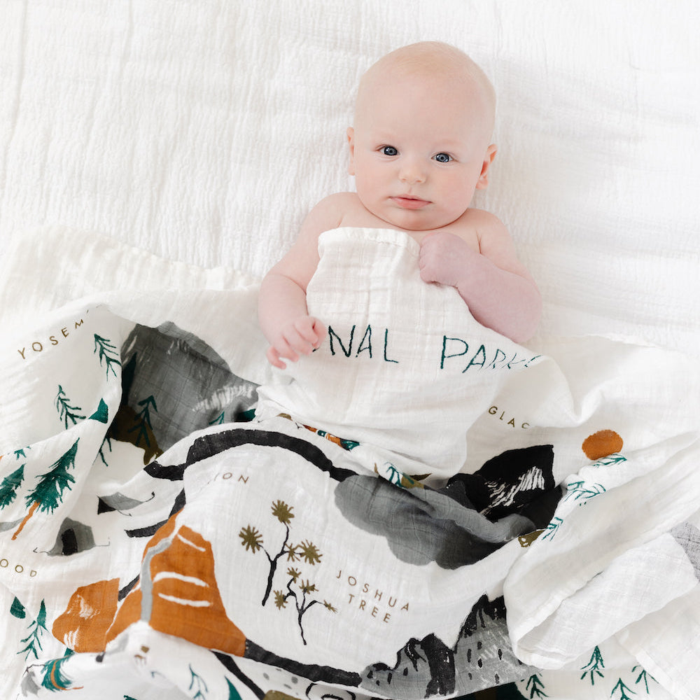 
                      
                        National Parks Swaddle
                      
                    