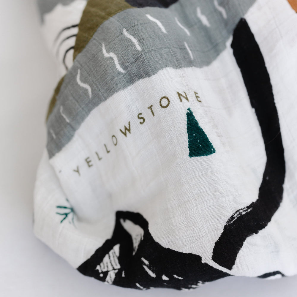 
                      
                        National Parks Swaddle
                      
                    