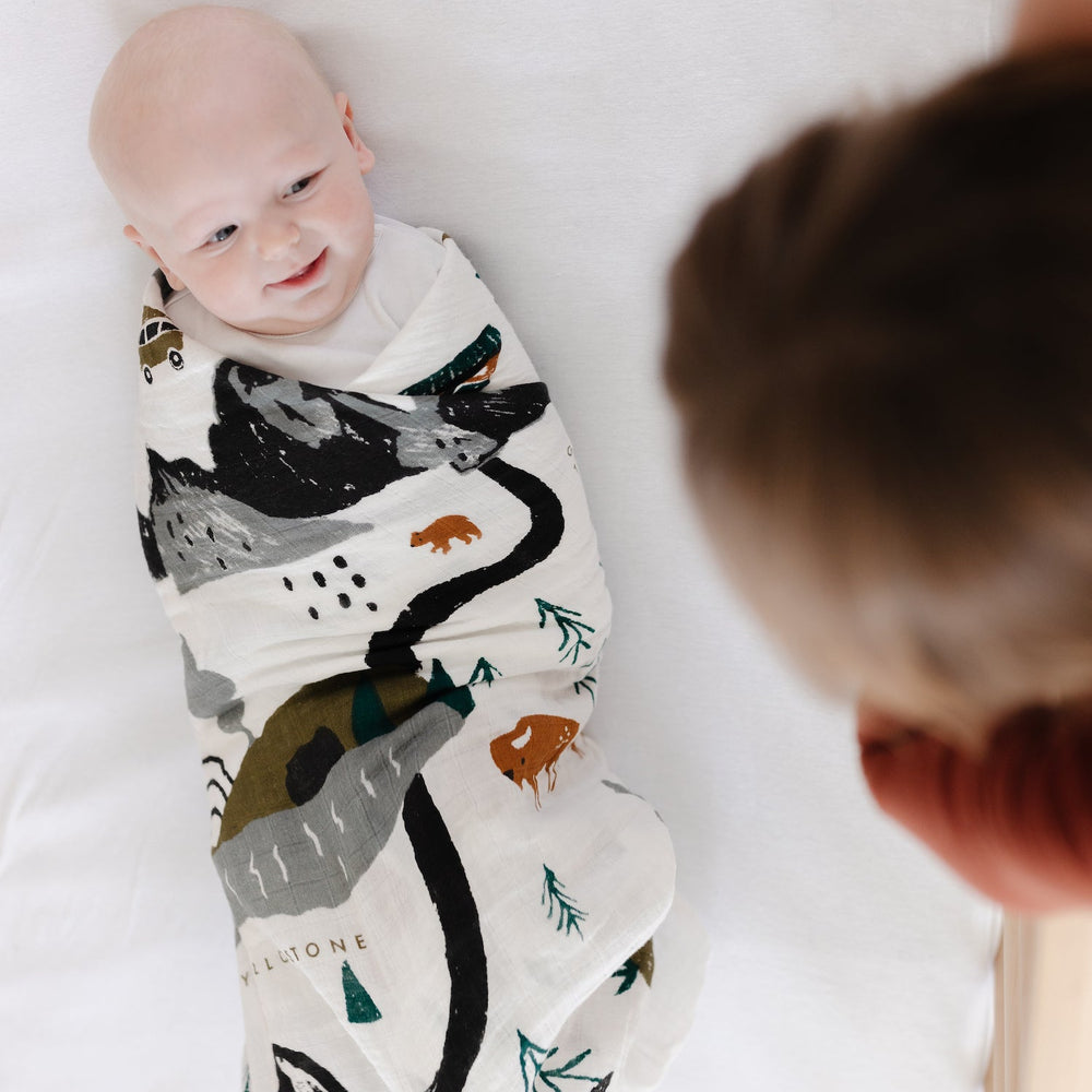 
                      
                        National Parks Swaddle
                      
                    