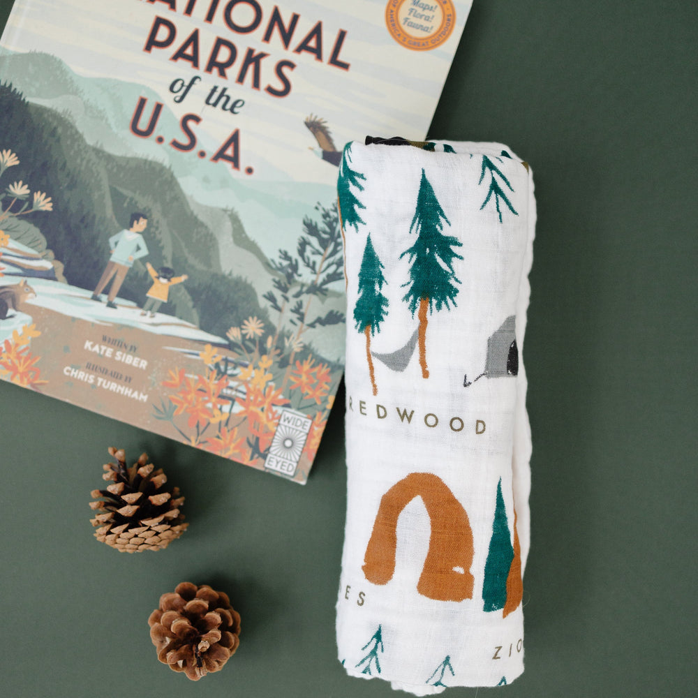 
                      
                        National Parks Swaddle
                      
                    