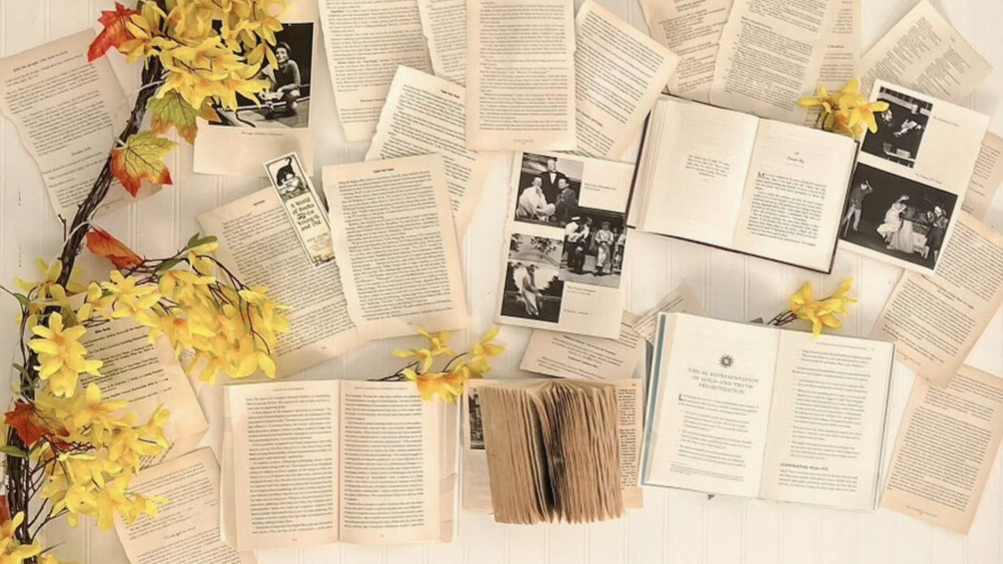 Women attending the Conversations That Count book club at Grace & Haven, engaged in thoughtful discussion.