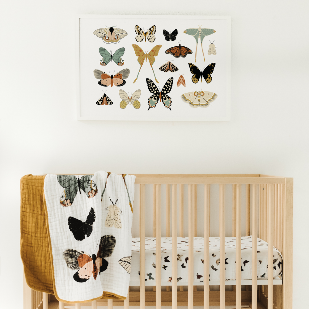 
                      
                        Butterfly Collector Quilt
                      
                    