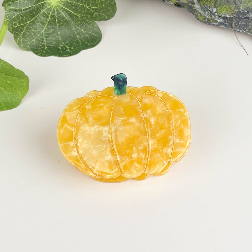 
                      
                        Pumpkin Hair Clip, Vegetable Claw Clip
                      
                    