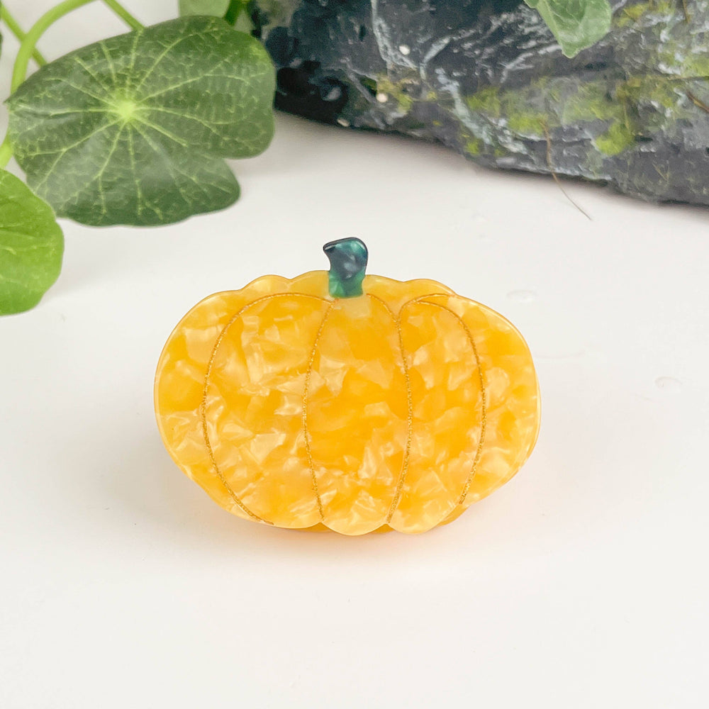 
                      
                        Pumpkin Hair Clip, Vegetable Claw Clip
                      
                    