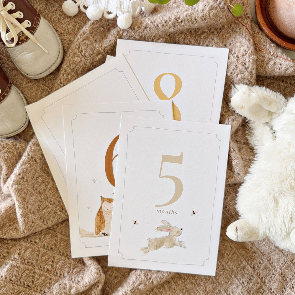 
                      
                        Baby Milestone Cards – Monthly Photo Props + Keepsake Memory Set by Emily Lex
                      
                    