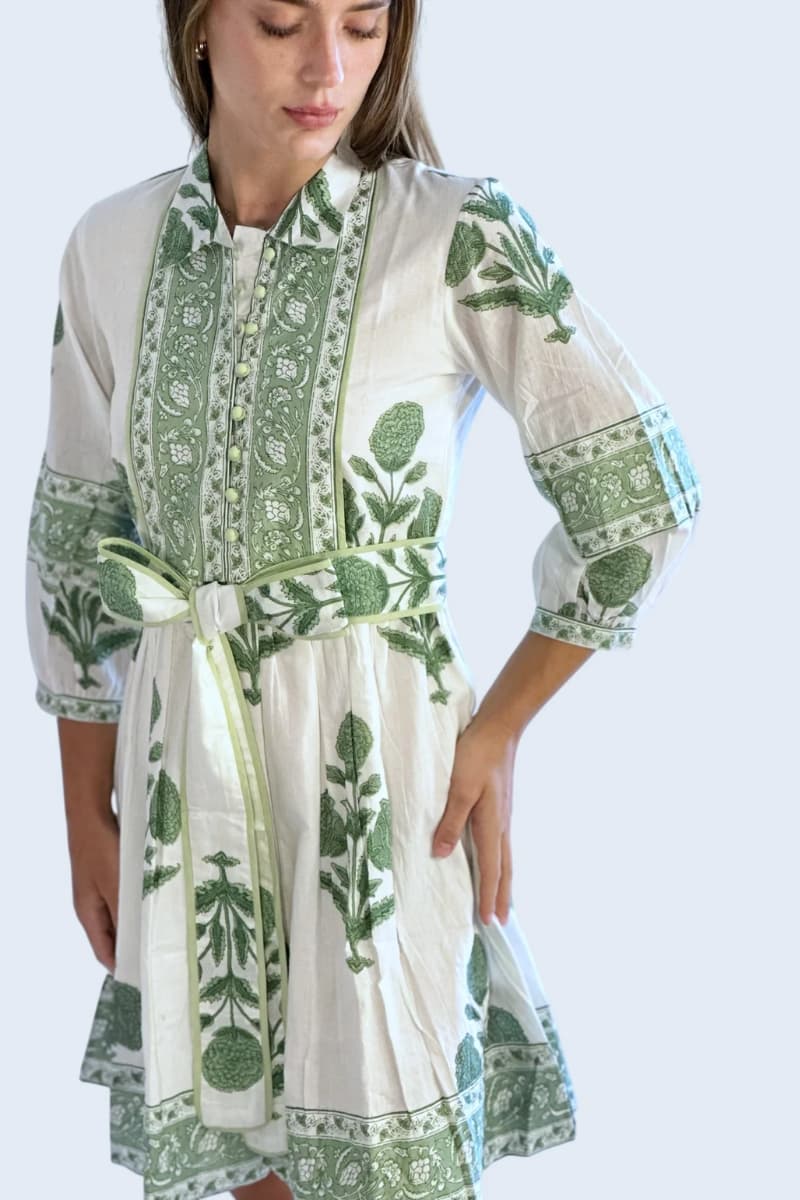 Close-up of collared neckline and functional button front on Farylina Frieda Dress Short in Sage