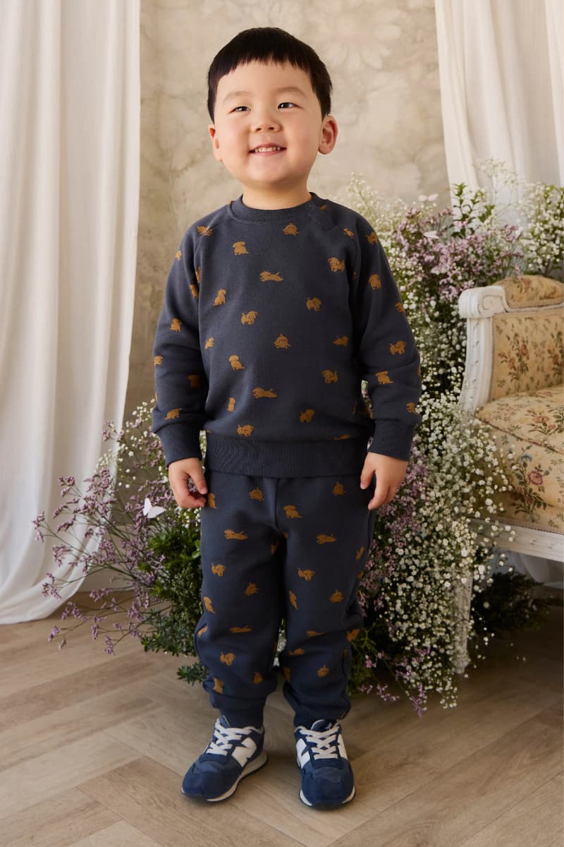 Child wearing a navy sweatshirt and track pants with small puppy dog patterns, standing in a decorated room with flowers and a chair.