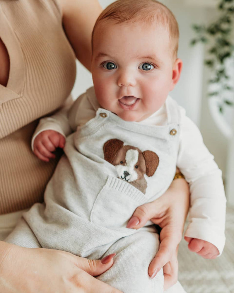 Baby wearing Viverano Organic Cotton Puppy Dog Overall Set showing front with 3D dog pocket