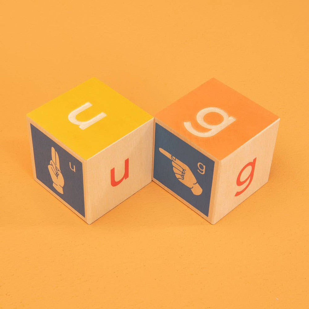 
                      
                        Close-up of two Uncle Goose American Sign Language blocks showing ASL symbol, alphabet, and patterned sides
                      
                    