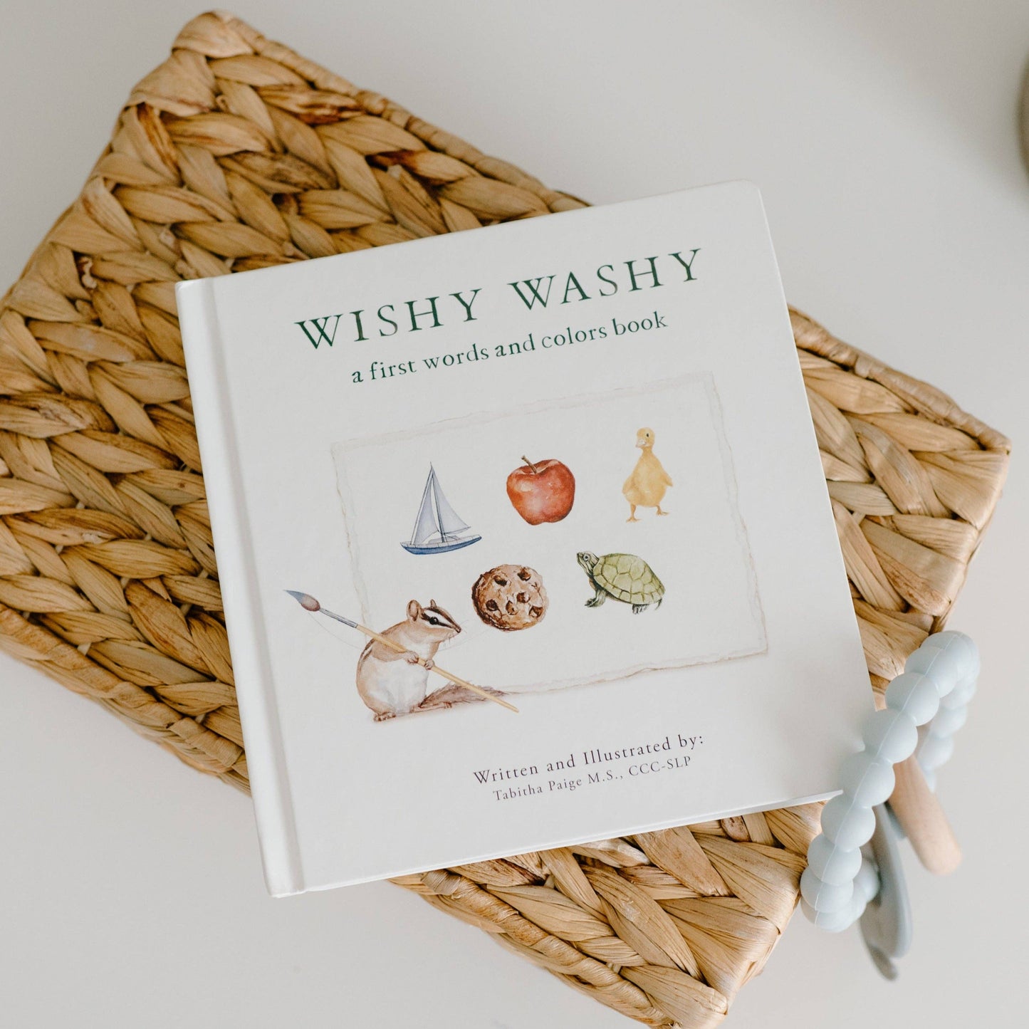 Cover of Wishy Washy: A Board Book of First Words and Colors by Tabitha Paige
